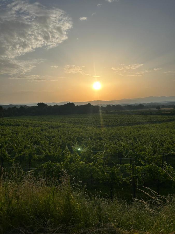 Cruna Di Subida Wine Country House Cormons Exterior photo